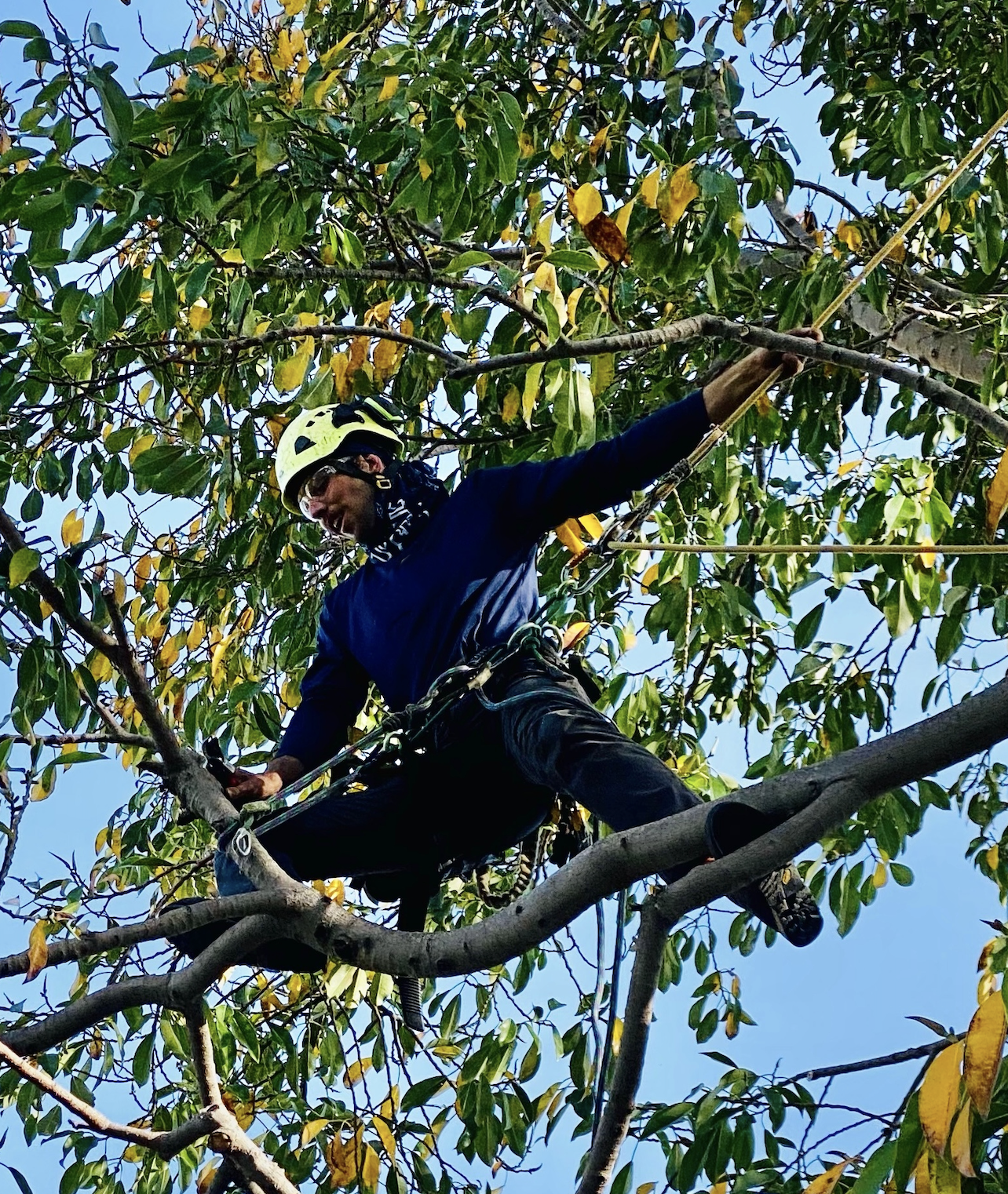 a man in a helmet sitting on a tree branch