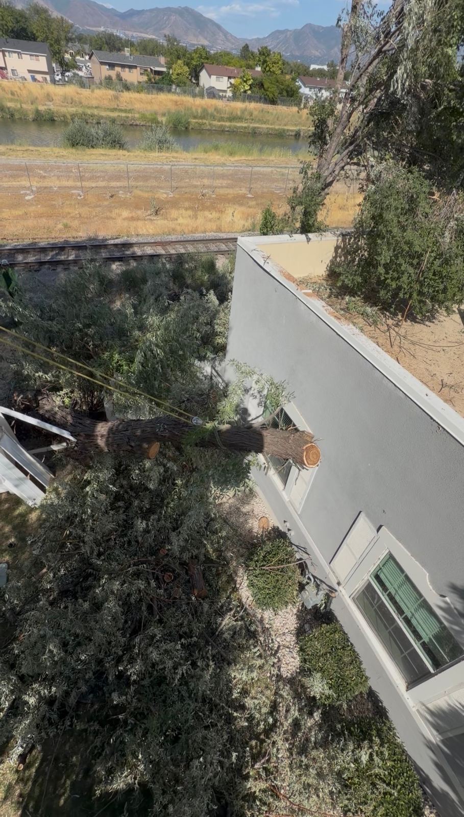 Emergency tree service in Salt Lake City and Park City
