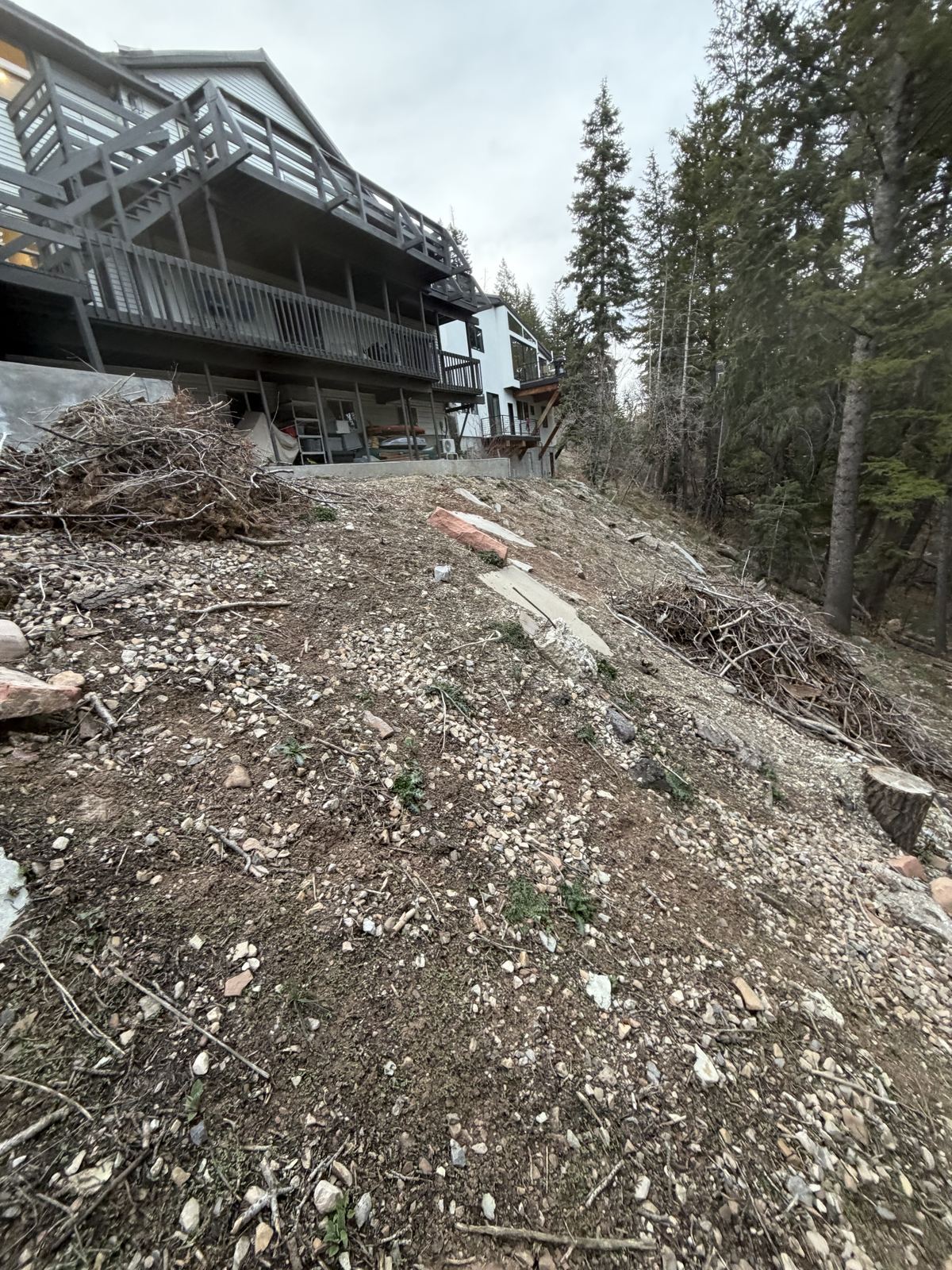 Wildfire mitigation tree clearing in Utah