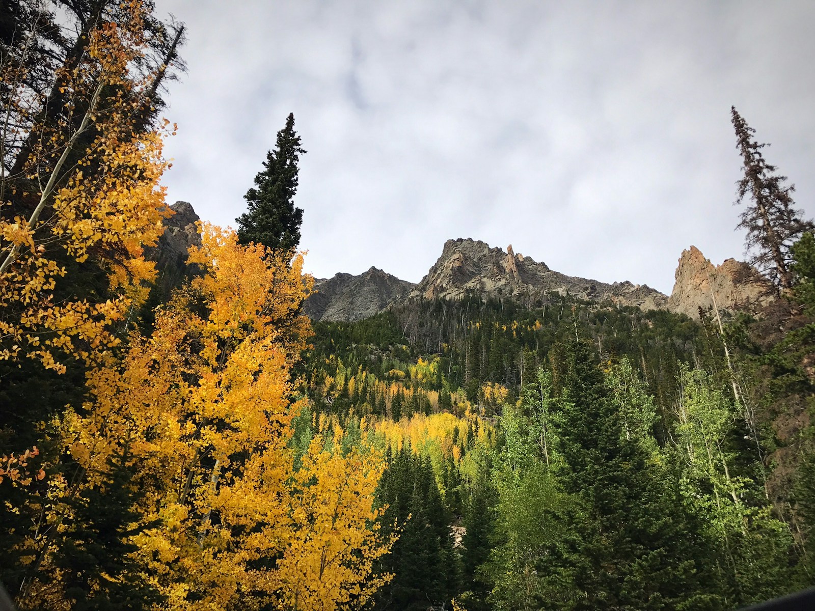 Mountain and forest landscape near Park City, Utah