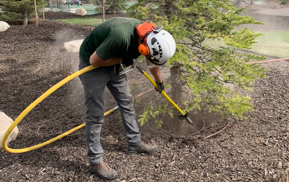 Tree fertilization as part of health care