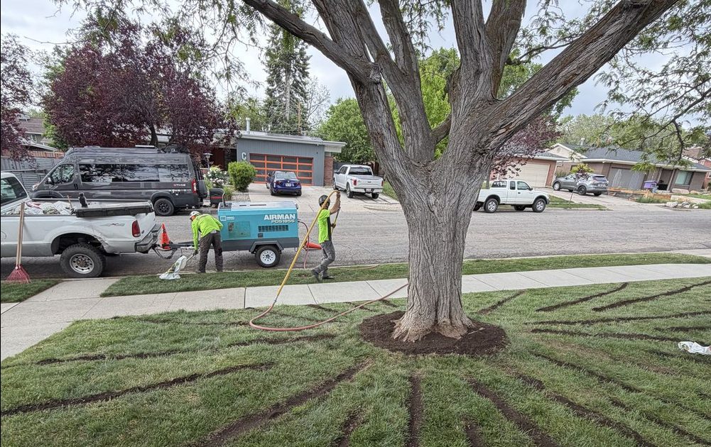 Tree health care and soil decompaction in Utah