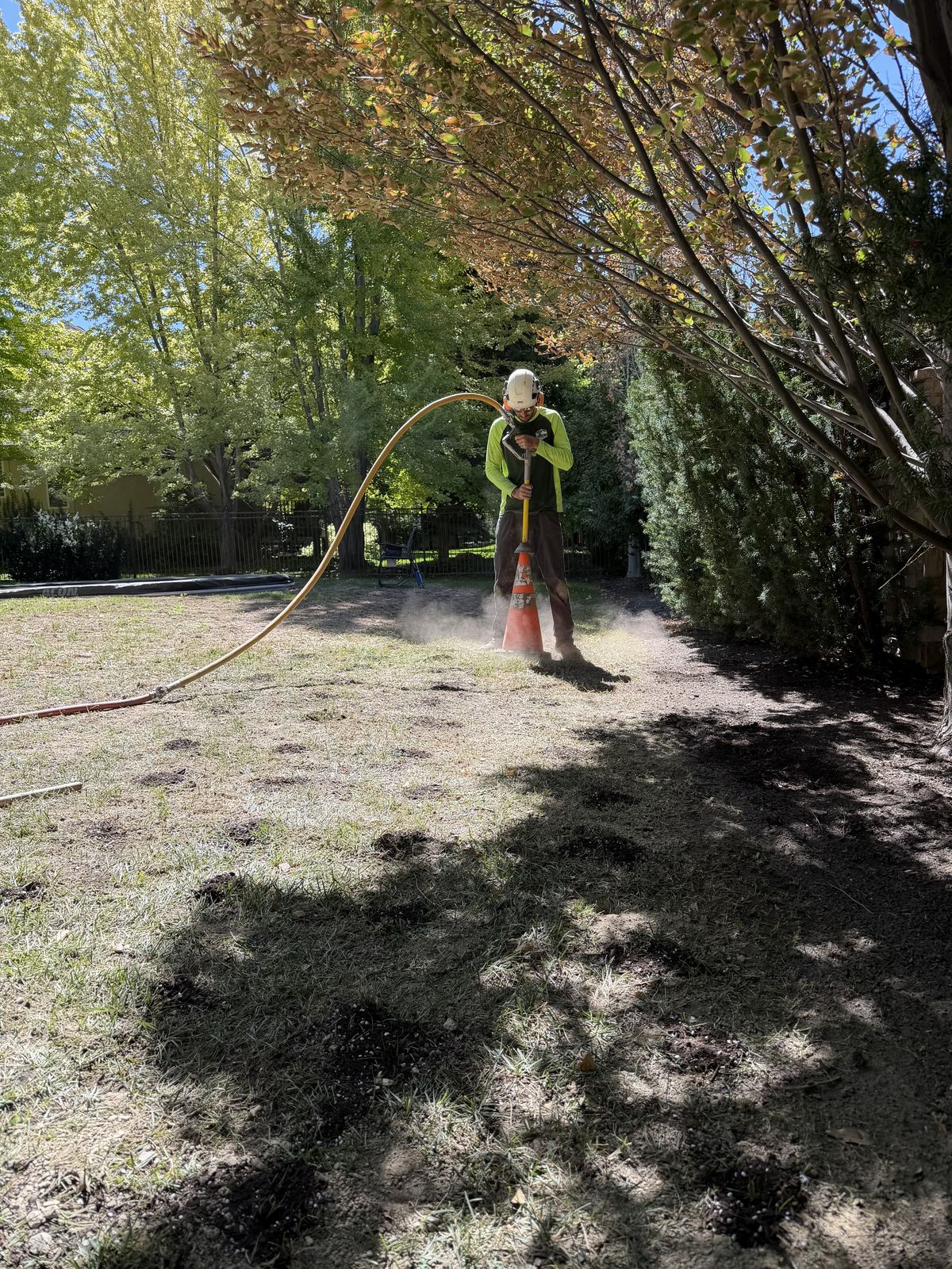 Soil conditioning for tree health care