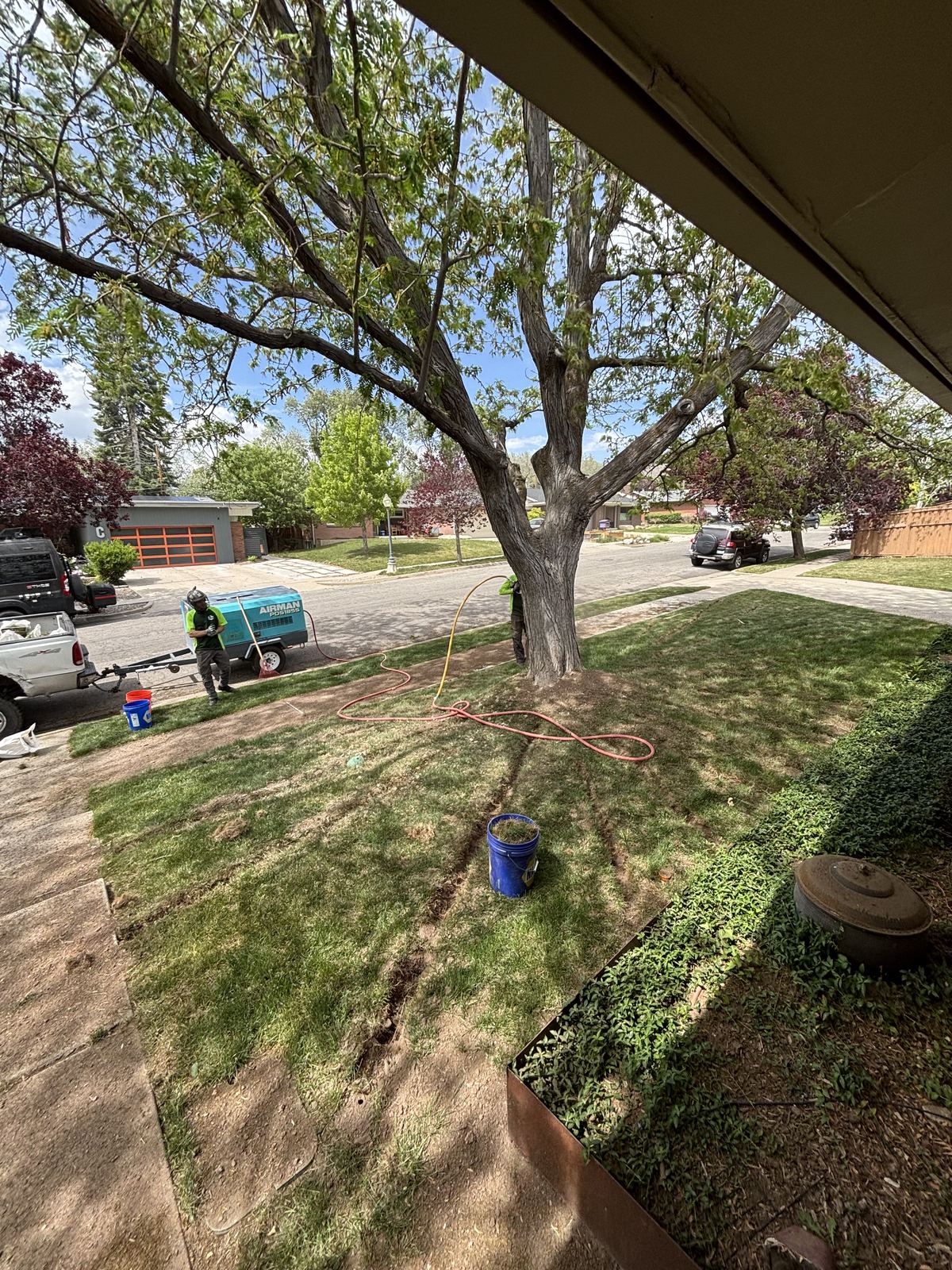 Root zone soil conditioning for tree health