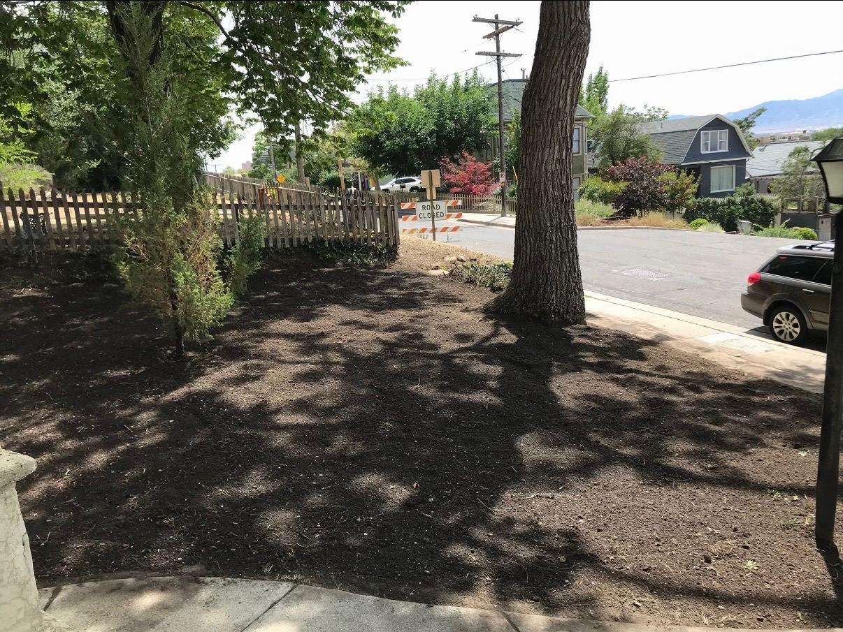 Soil amending for Utah trees