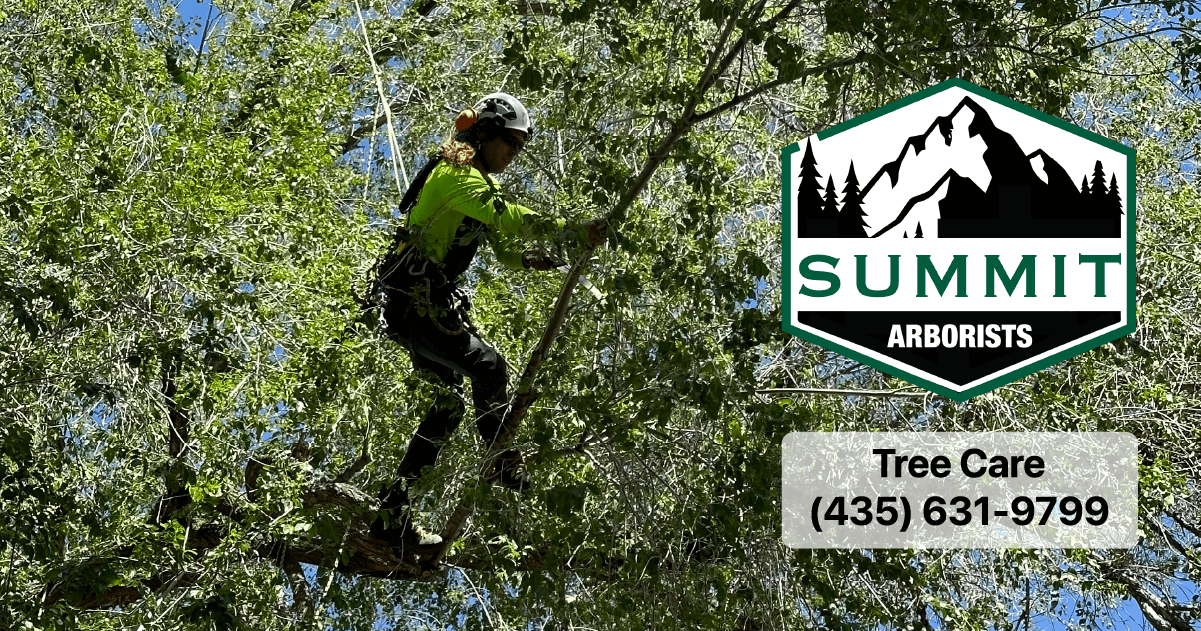 Summit Arborists work site